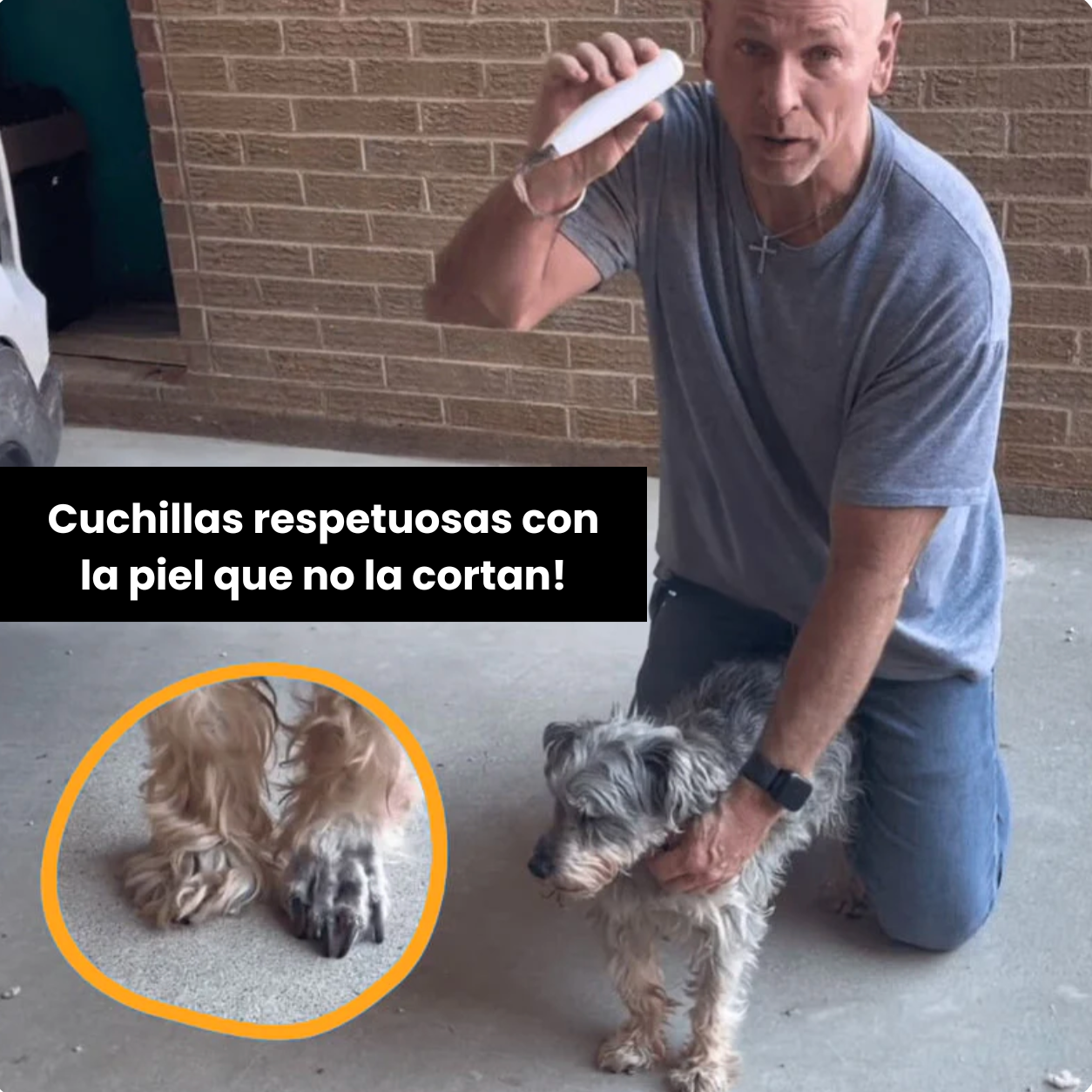 TRIMMY™ - ¡La recortadora para perros en la que confían los dueños más cuidadosos!